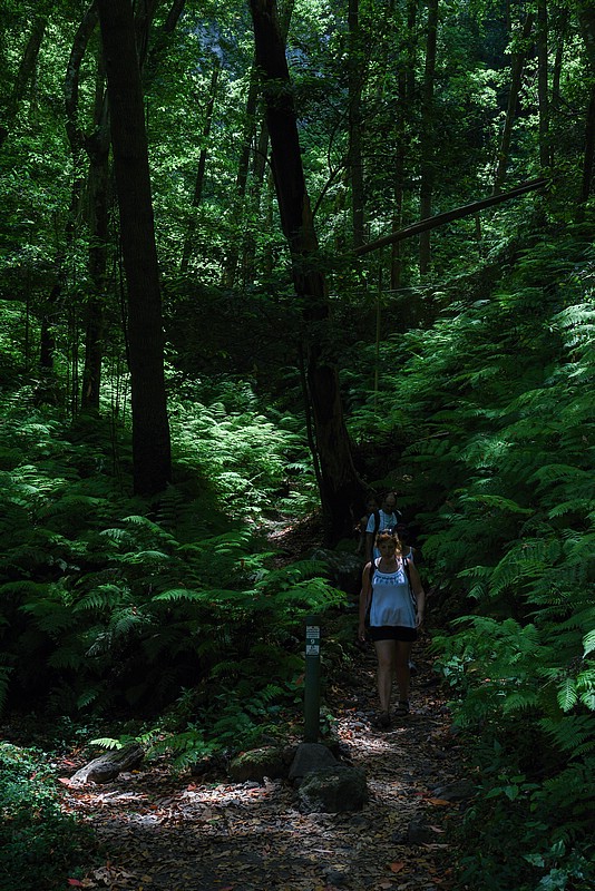 DSC_0721RAW.jpg