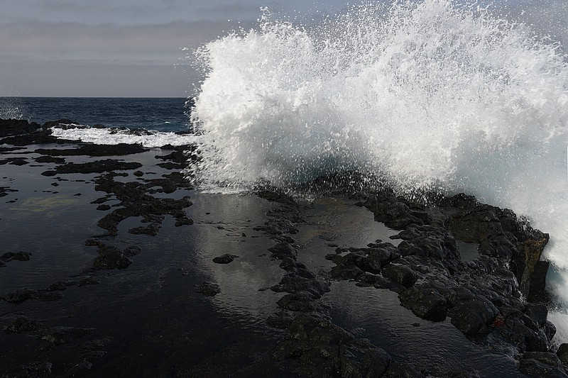 DSC_1070RAW.jpg