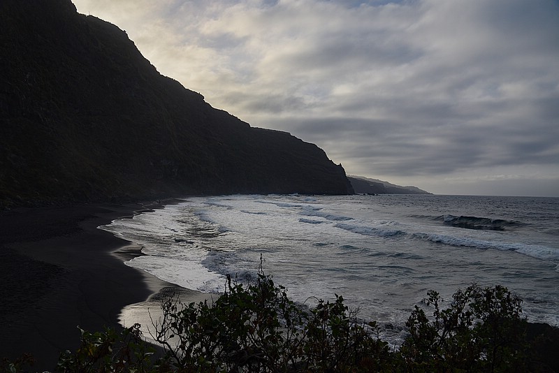 DSC_1200RAW.jpg