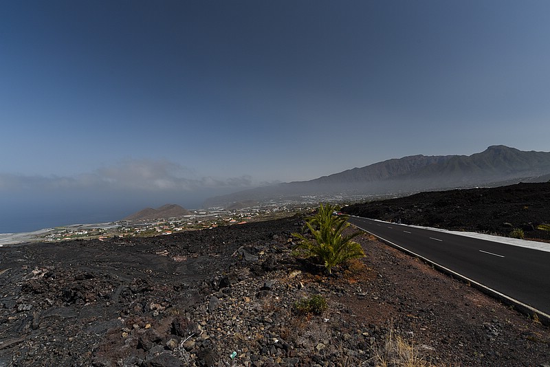 DSC_1239RAW.jpg