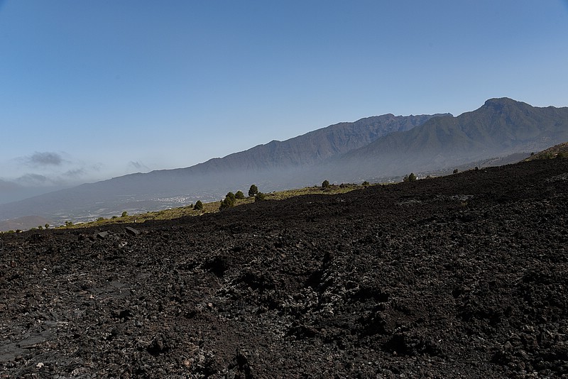 DSC_1246RAW.jpg