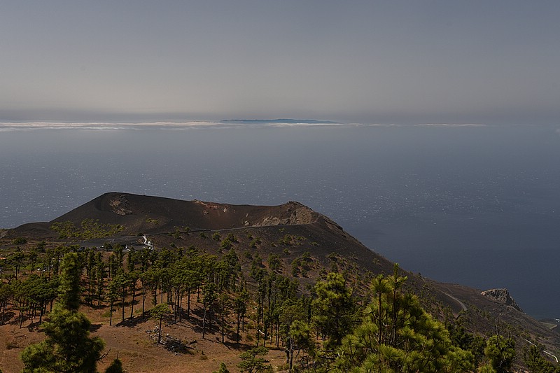 DSC_1261RAW.jpg