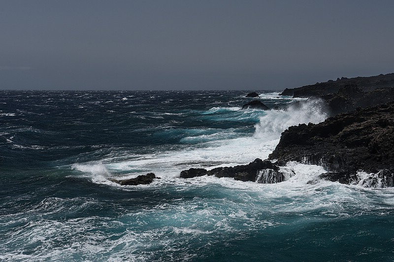 DSC_1326RAW.jpg