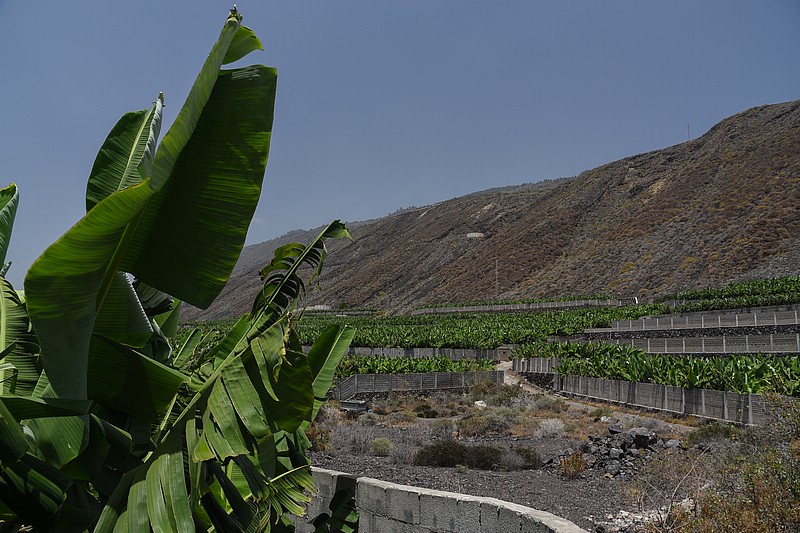DSC_1399RAW.jpg