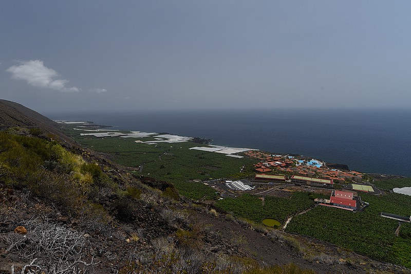 DSC_1402RAW.jpg