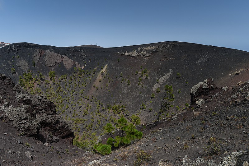 DSC_1411RAW.jpg