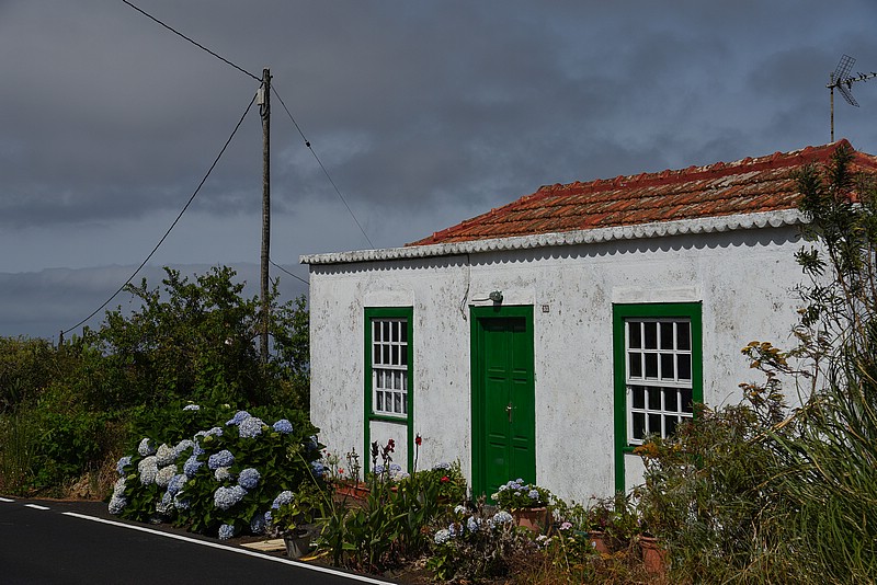 DSC_1462RAW.jpg