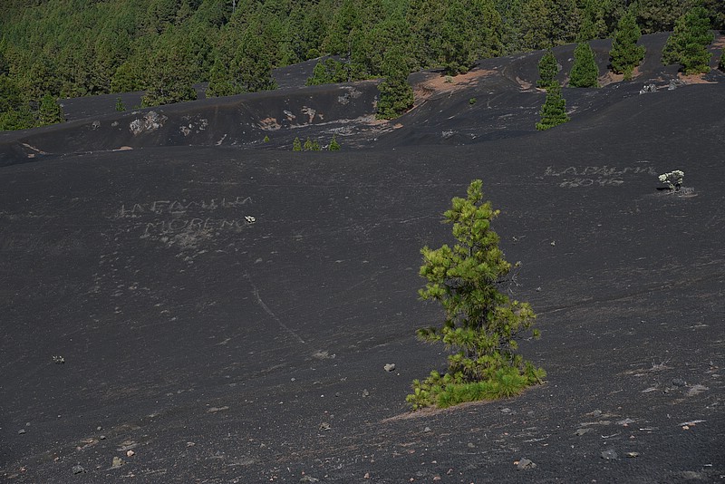 DSC_1482RAW.jpg
