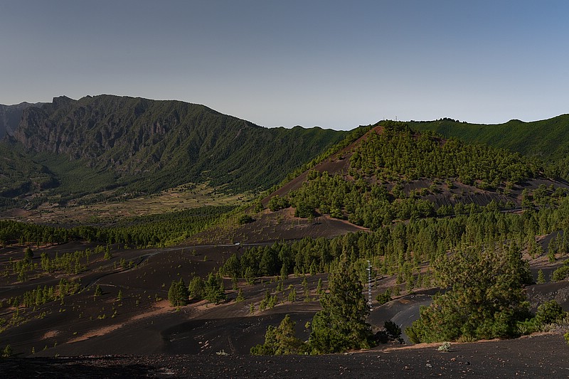 DSC_1486RAW.jpg