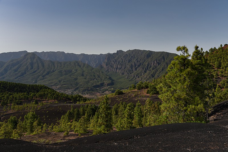 DSC_1500RAW.jpg