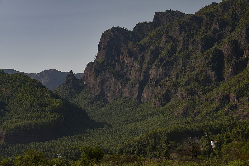 DSC_1505RAW.jpg