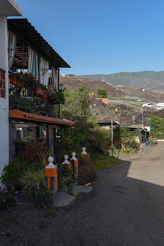 DSC_1517RAW.jpg