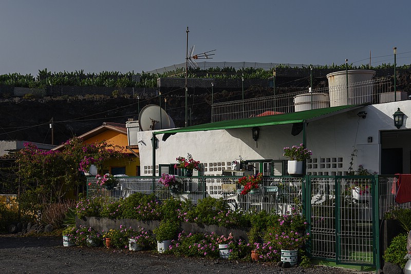 DSC_1519RAW.jpg