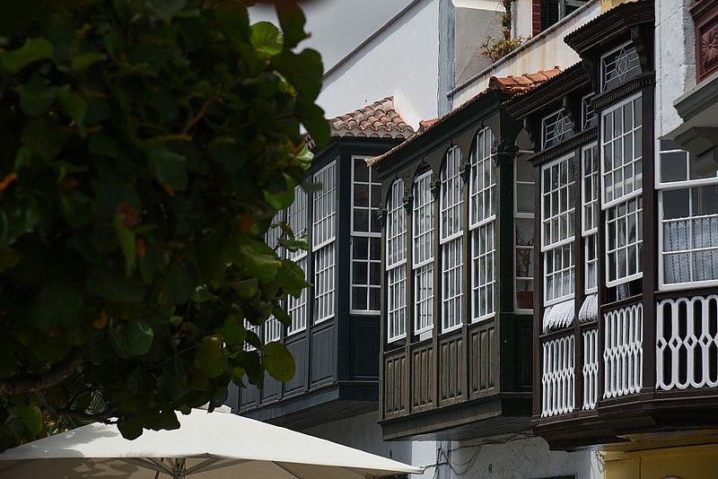 DSC_1681RAW.jpg