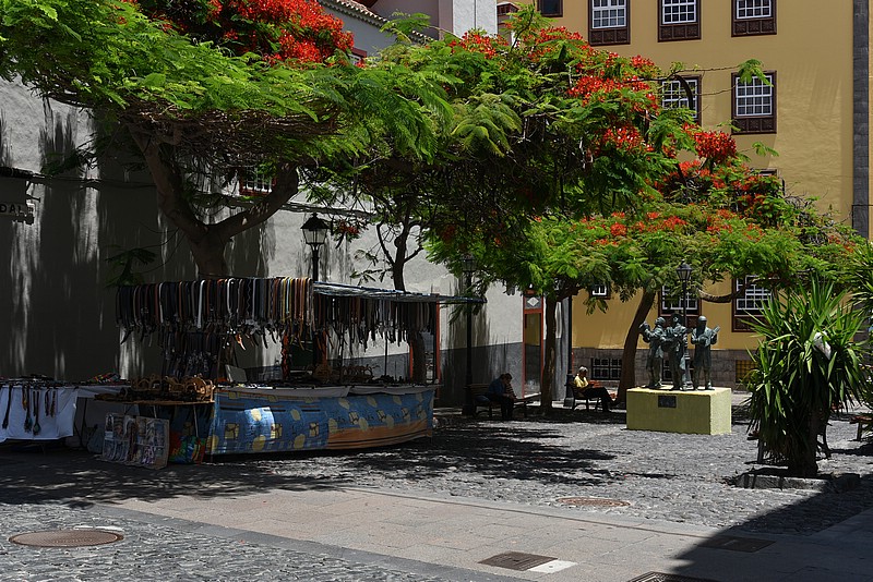 DSC_1773RAW.jpg