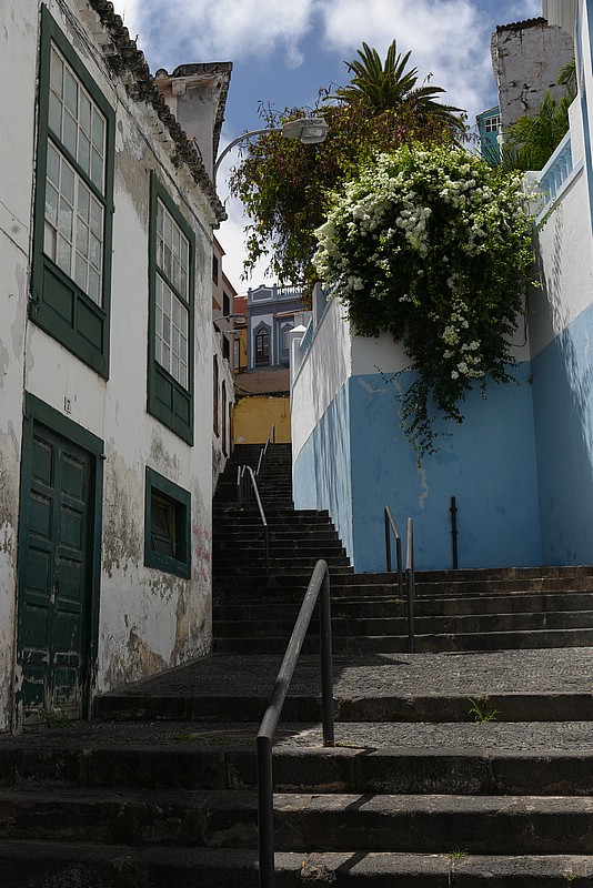 DSC_1809RAW.jpg