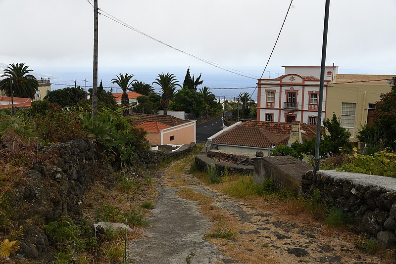 DSC_1971.JPG