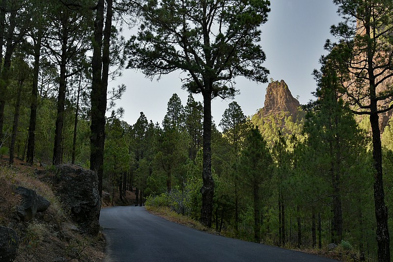 DSC_1974RAW.jpg