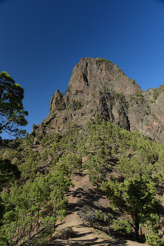 DSC_1978RAW.jpg