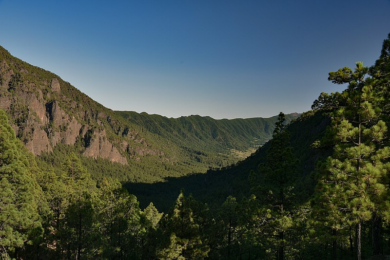 DSC_1979RAW.jpg