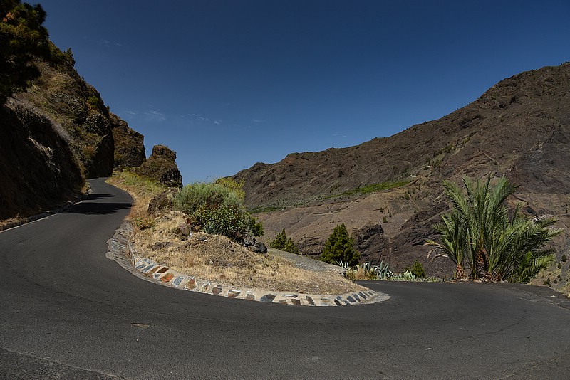 DSC_2028RAW.jpg