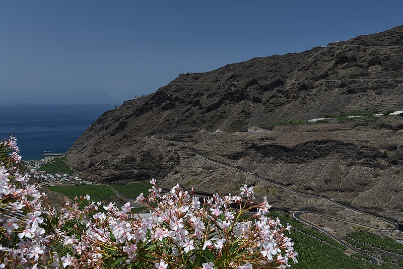 DSC_2084RAW.jpg