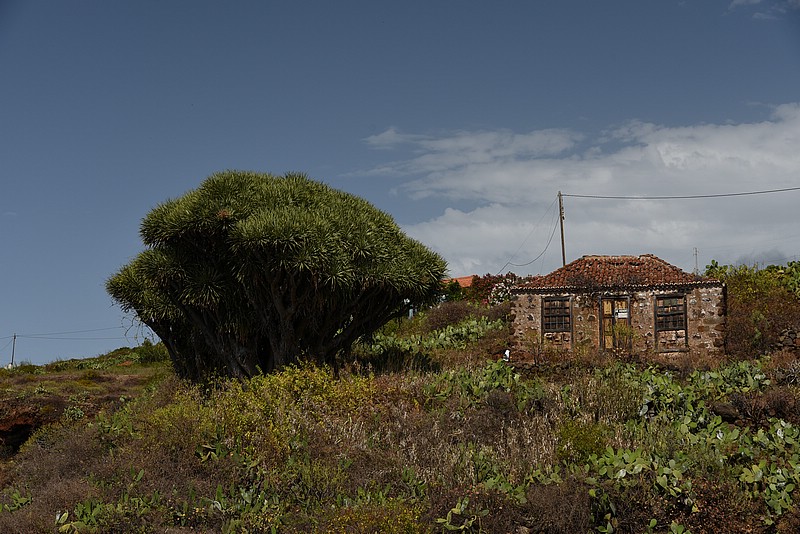 DSC_2211RAW.jpg