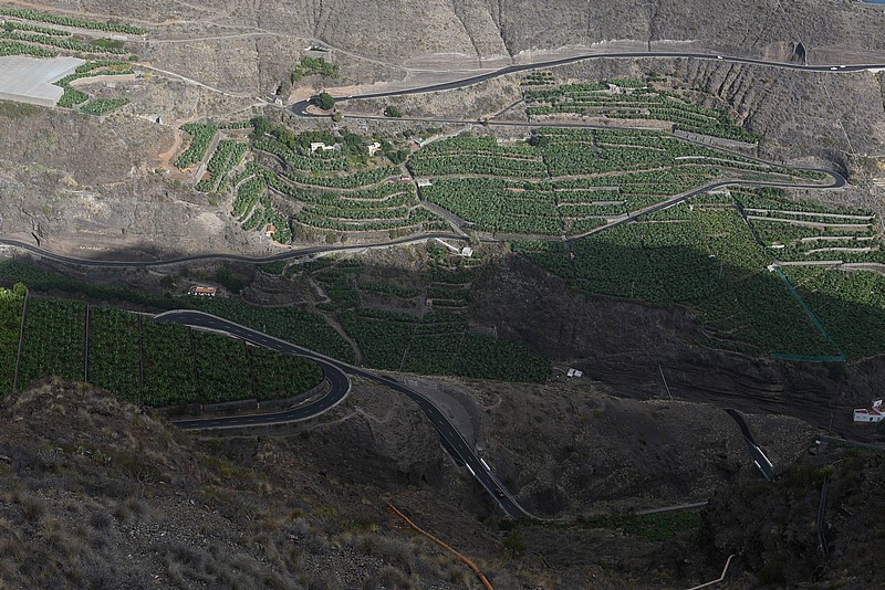 DSC_2255RAW.jpg
