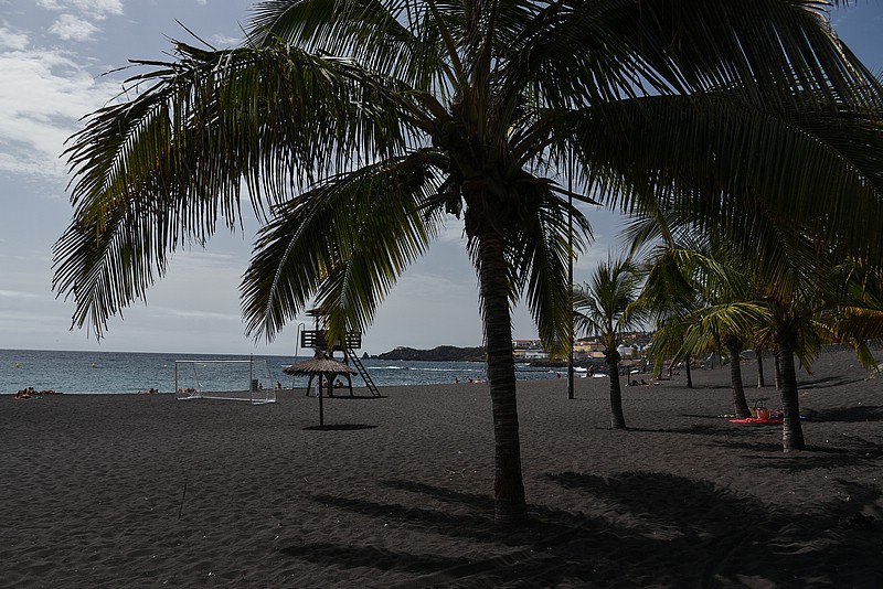 DSC_2294RAW.jpg