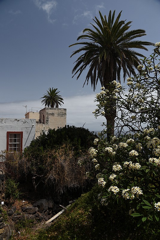 DSC_2304RAW.jpg