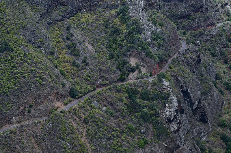 DSC_2376RAW.jpg