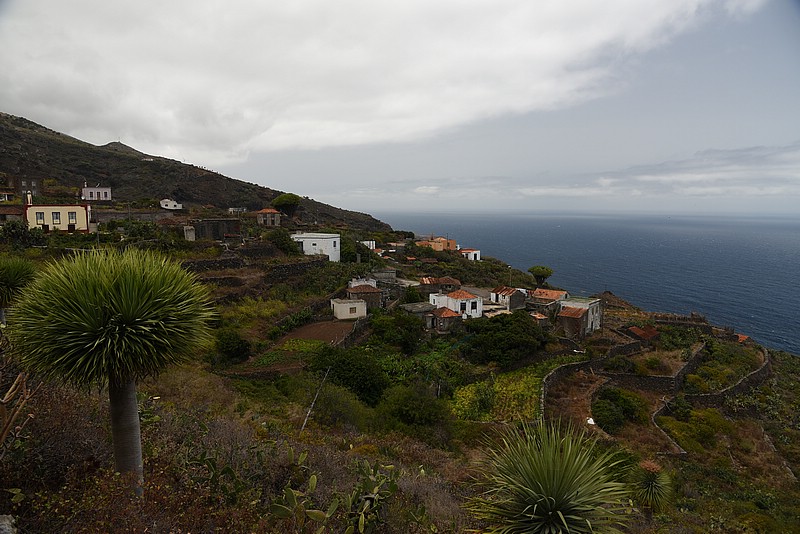 DSC_2386.JPG