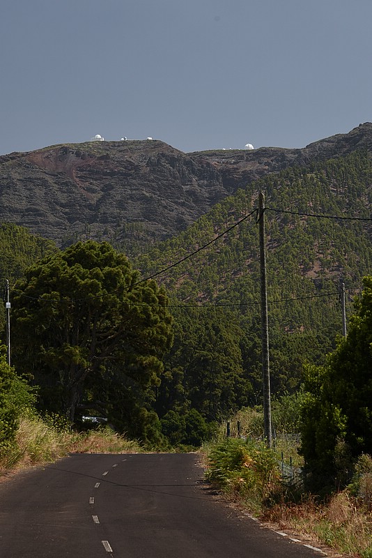 DSC_2407RAW.jpg