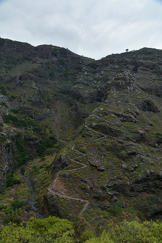 DSC_2439RAW.jpg