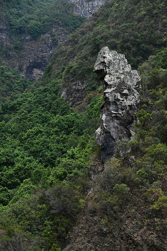 DSC_2440RAW.jpg