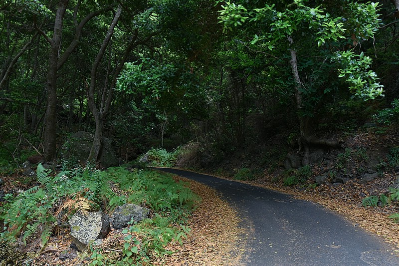DSC_2444RAW.jpg