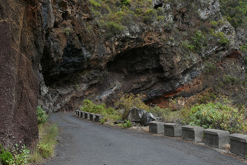 DSC_2445RAW.jpg