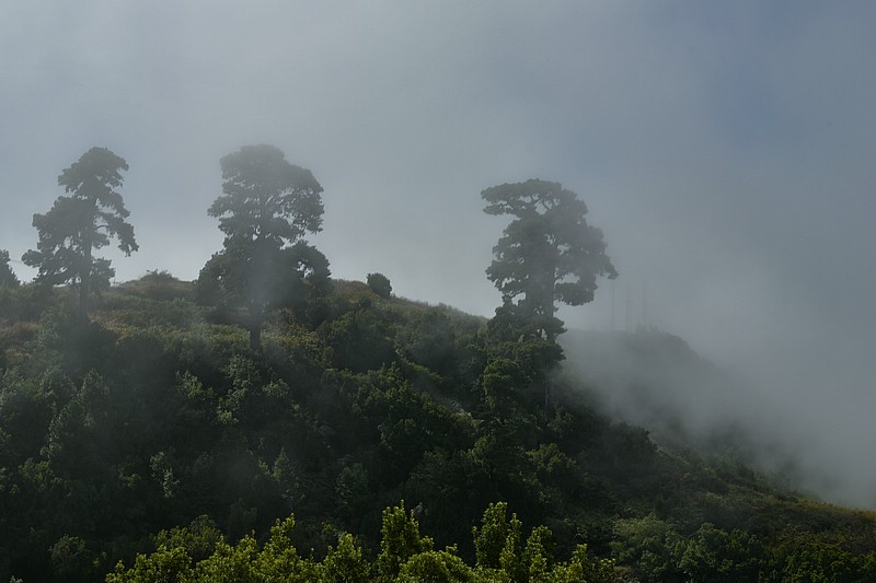 DSC_2451RAW.jpg