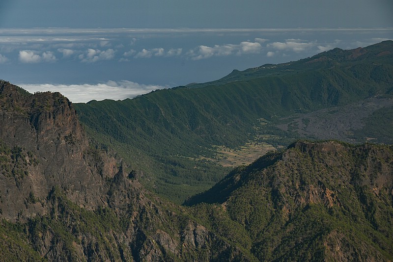 DSC_2476RAW.jpg
