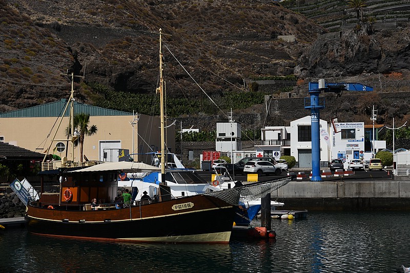 DSC_2549.JPG