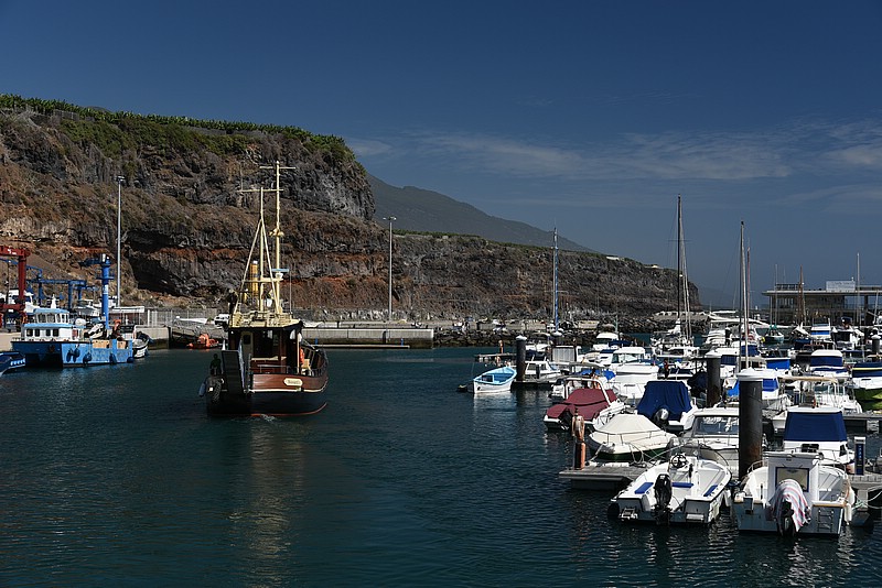 DSC_2552.JPG