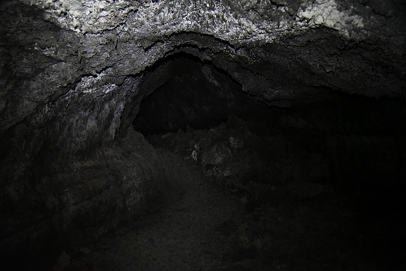 DSC_2674RAW.jpg