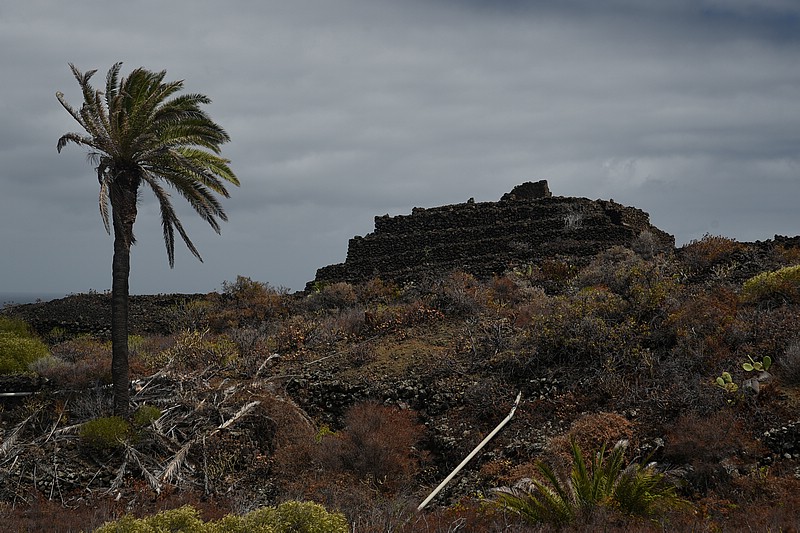 DSC_2718RAW.jpg