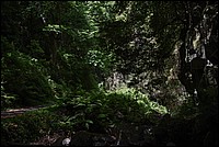 DSC_0664RAW.jpg