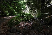 DSC_0678RAW.jpg