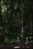 DSC_0685RAW.jpg