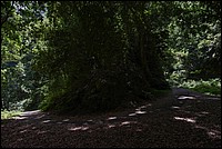 DSC_0695RAW.jpg