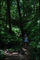 DSC_0721RAW.jpg