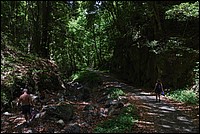 DSC_0762RAW.jpg