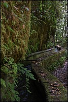 DSC_0772RAW.jpg